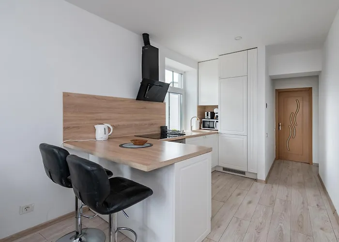 Serene Nemunas River View Near Mcdonald By Polo Kaunas